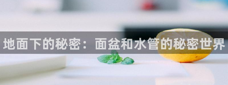 球盟会在线官网