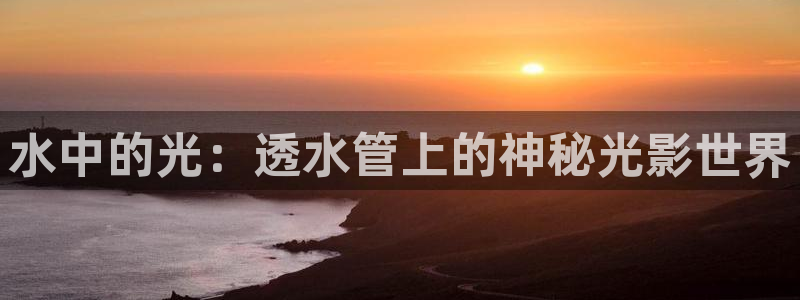 球盟会国际官网