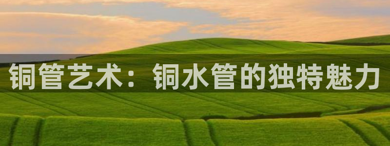 球盟会最新地址备用