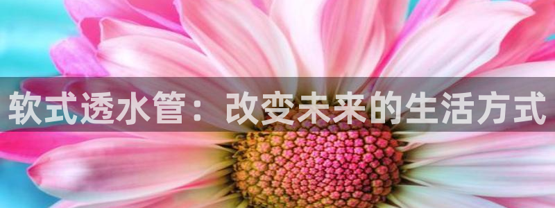 球盟会黑台