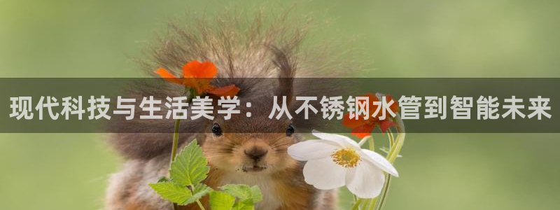 球盟会登录平台入口