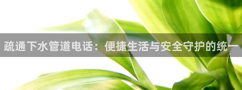 球盟会提款支付宝怎么样