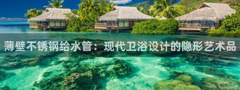 球盟会进不去