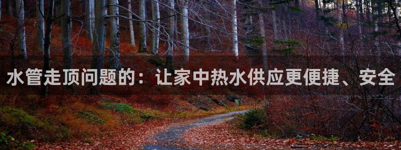 球盟会国际官网