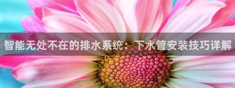 球盟会黑款吗是真的吗