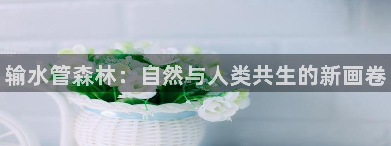 球盟会福利码2023最简单三个步骤