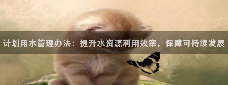 球盟会最新活动