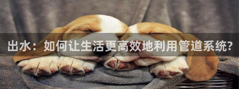 球盟会登陆入口