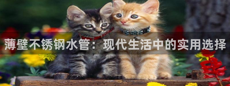 球盟会体育平台