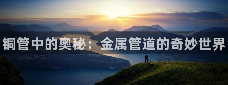 球盟会综合体育平台怎么样