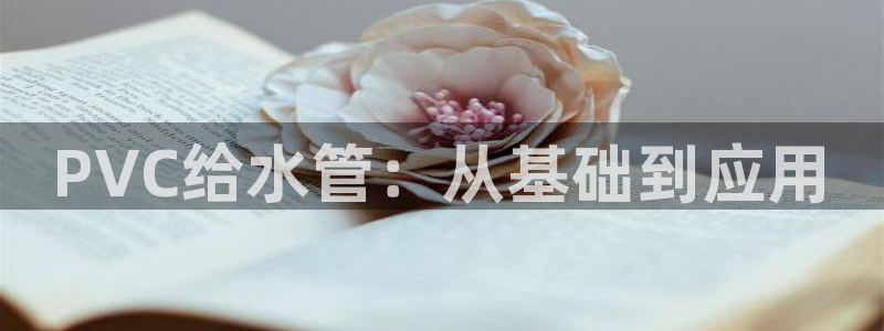 球盟会中国官方网站