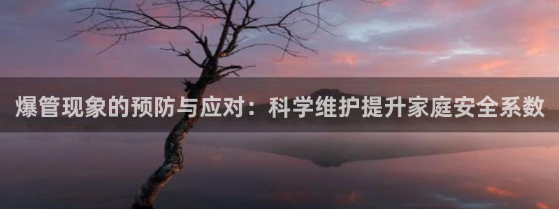 球盟会进不去球员吗