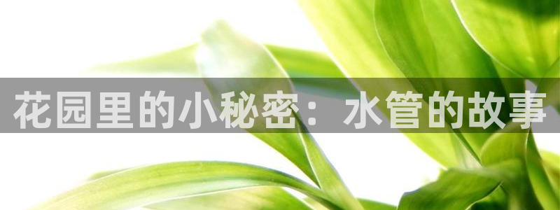 球盟会qmh网页版登录 - qm球盟会官方网站
