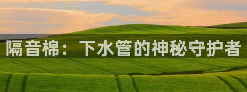 球盟会下款快吗