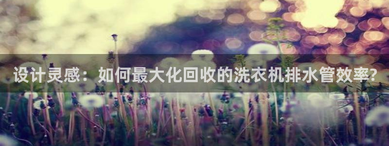 球盟会中国官方网站