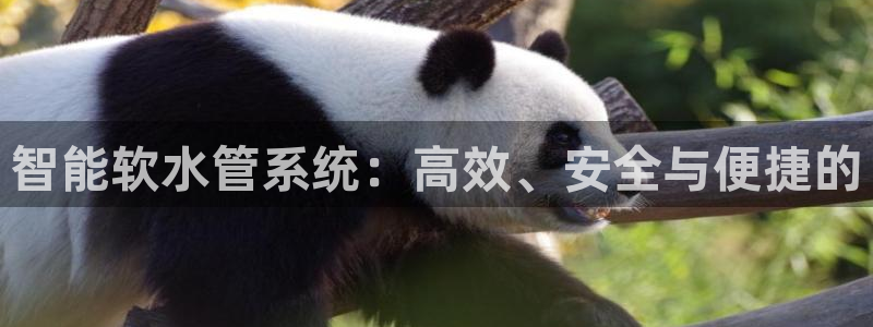 球盟会app手机登录