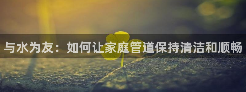 球盟会黑