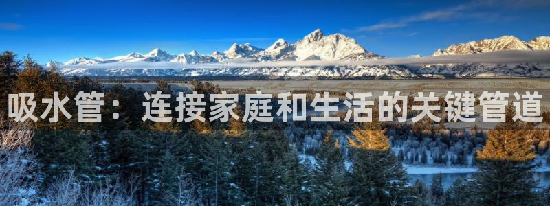 球盟会官方客服