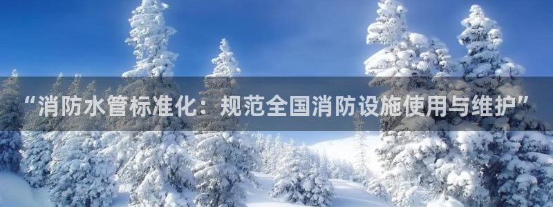 球盟会下款快吗