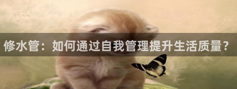 球盟会入口