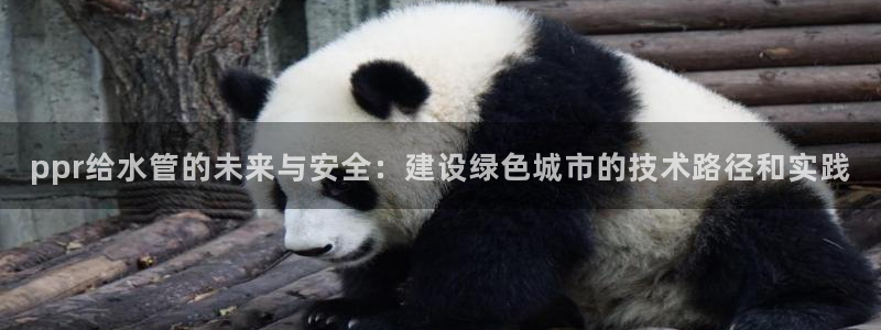 球盟会登陆入口