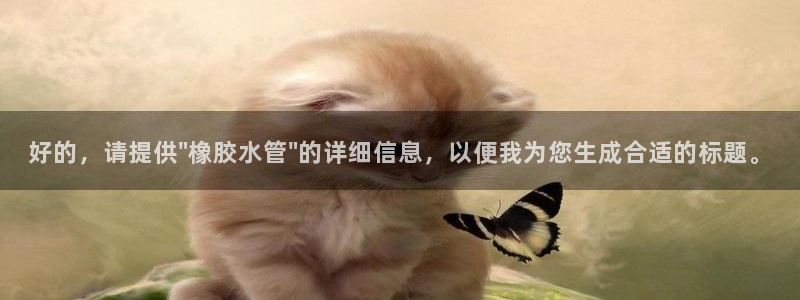 球盟会黑嘛