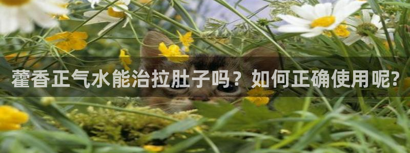 球盟会官方网入口