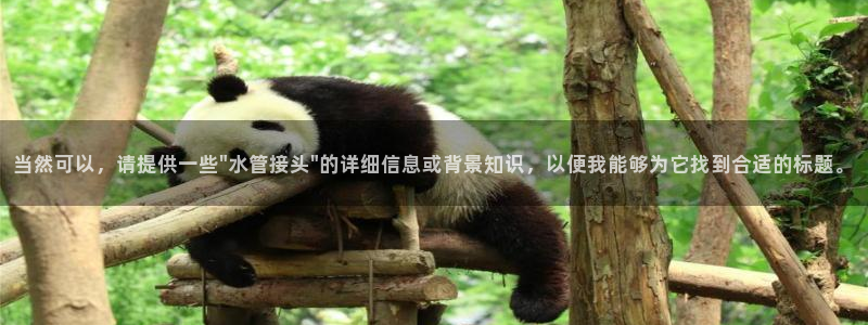 球盟会能退钱吗现在