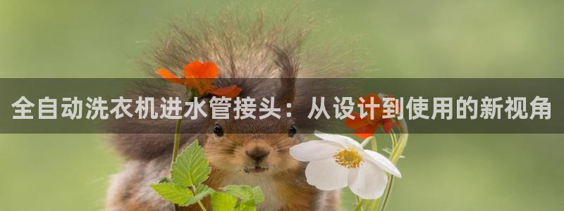 球盟会qmh