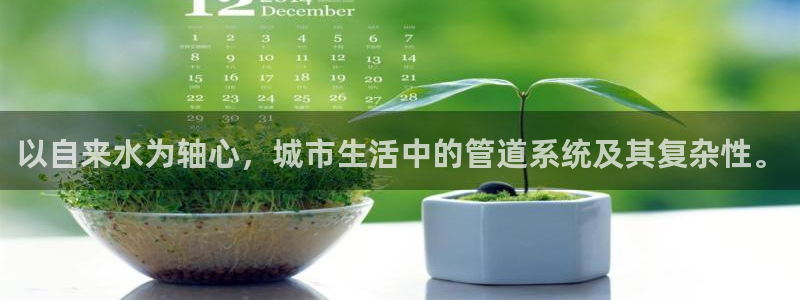 球盟会黑钱
