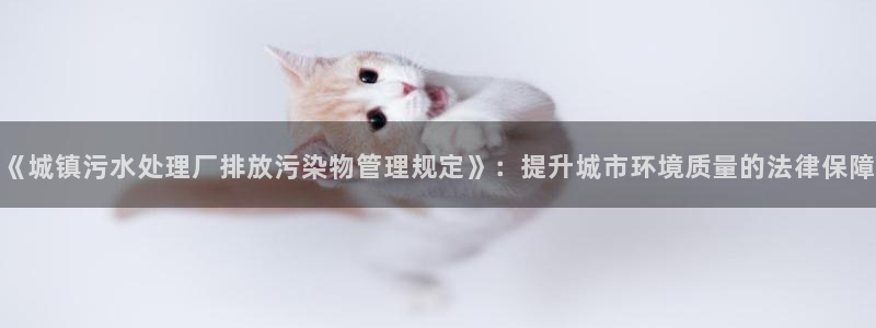 球盟会官方网站是什么