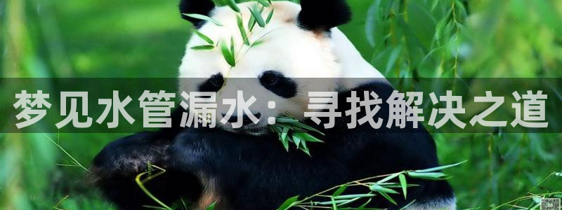 球盟会官方入口