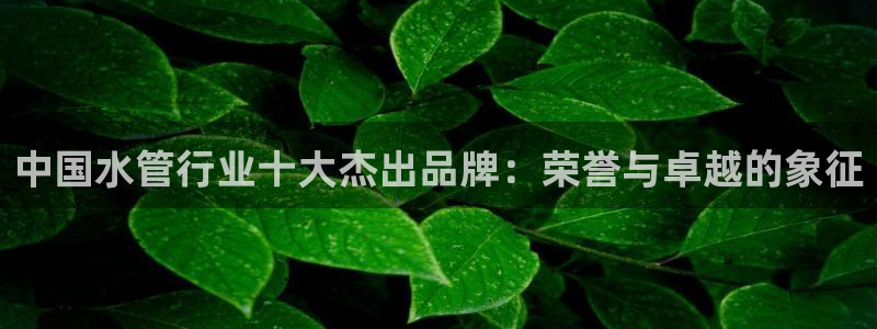 球盟会提款支付宝怎么样