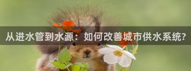 球盟会电子游戏平台