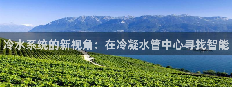 球盟会类似的网站