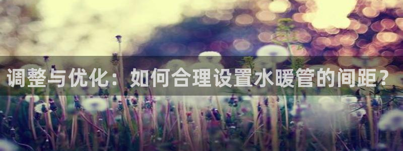 球盟会官网入口