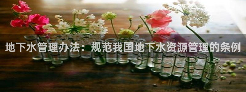 球盟会下载最新版