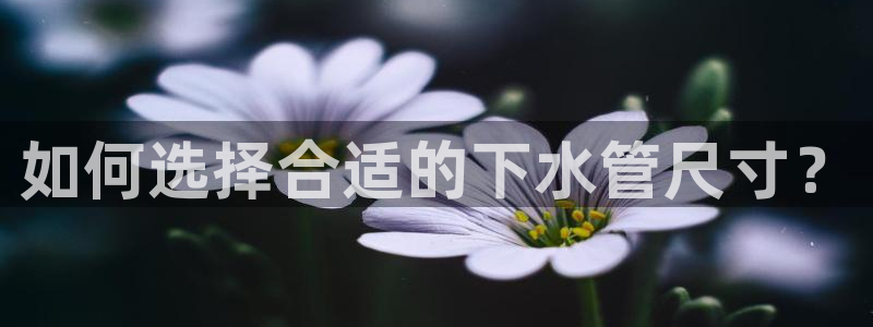 球盟会官方网站入口