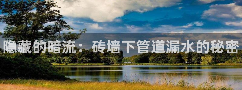 球盟会官方网入口
