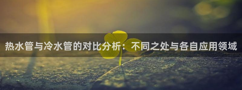 球盟会网址多少