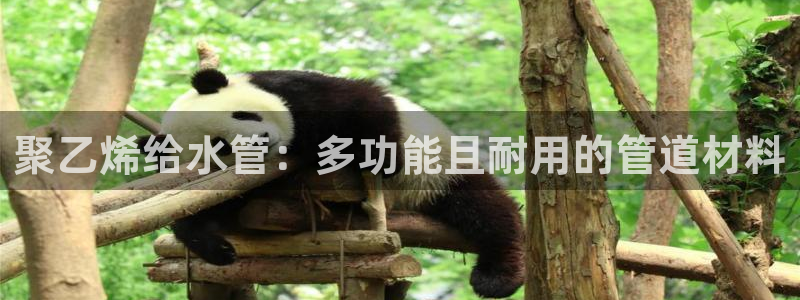 球盟会平台怎么样