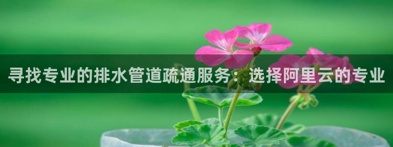 球盟会官方客服