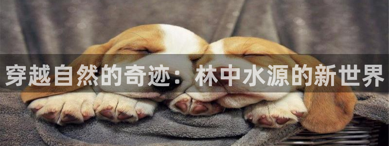 球盟会网页登录入口