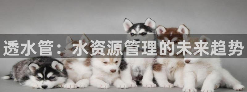 球盟会app最新地址在哪看