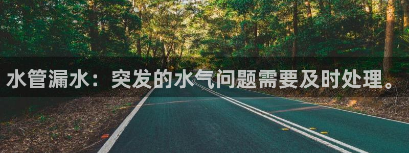 球盟会中国网页登录