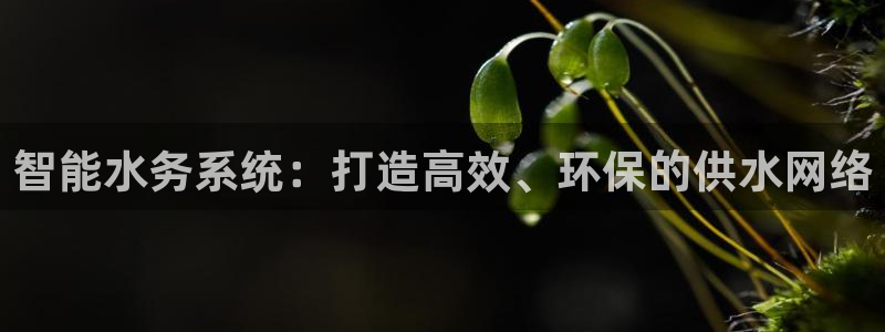 球盟会提款支付宝怎么样