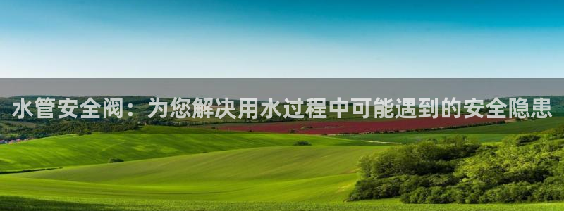 球盟会官方最新入口