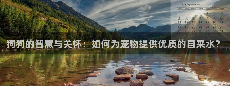 球盟会最新地址备用