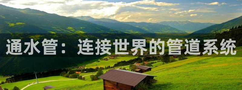 球盟会qmh登录地址