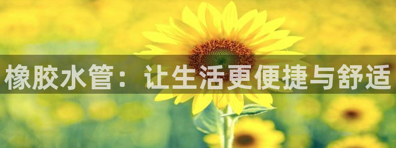 千亿球盟会乐玩